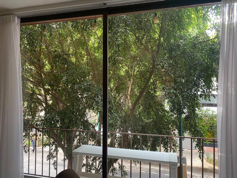 Comfortable Loft At Beautiful Historic Building! Mexico City Luaran gambar